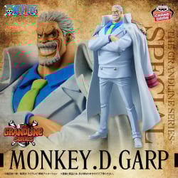 ワンピース DXF～THE GRANDLINE SERIES～SPECIAL MONKEY.D.GARP