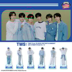 TWS From PLEDIS ENTERTAINMENT スタンド付きアクリルプレート